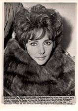 HOLLYWOOD BEAUTY ELIZABETH TAYLOR STYLISH POSE STUNNING PORTRAIT 1961 Photo C35 picture