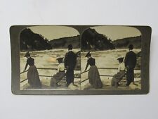 Niagara Falls Observation Deck Roaring Whirlpool Victorian Lady Stereoview 1901 picture