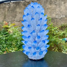 26.4LB  Newly discovered blue crystal cluster flower shaped mineral specimen picture