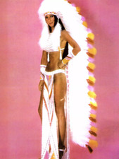Cher Pin Up High Quality Metal Fridge Magnet 3x4 7995 picture