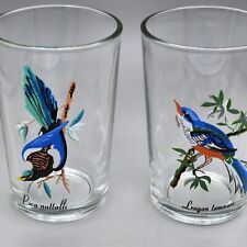 Set of 2 Vintage Kig Malaysia Juice Glasses Exotic Birds Pica Nuttalli & Lrogon picture