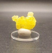 11.75ct Natural Yellow Brucite Crystal Specimen Rare Mineral Specimen picture
