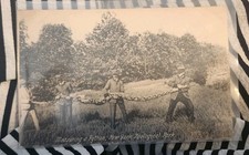 c1908 Measuring A Python New York Zoological Park RPPC Photo Postcard A1 picture