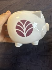 Everwise Credit Union White Plastic Piggy Bank Advertising Item picture
