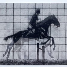 3D Lenticular Running Horse Postcard Greeting Card Optical illusion Art Gift picture