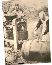 Beautiful Rural VINTAGE 1960 Press Photo WINEMAKING Elderly Woman & Man picture