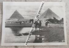 c1930s Cairo Egypt Pyramids Camel Rider Real Photo Vintage Album Photograph picture