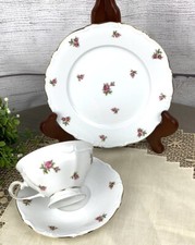 Vtg Oscar Schaller Winterling W. Germany Bavaria Tea Cup Saucer Plate Roses picture