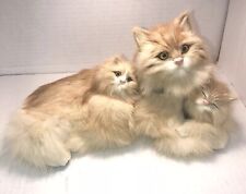 Realistic Furry Persian Cats , mother and kitten, head movement. picture