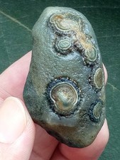 50mm  Beautiful Natural agate Gobi agate eye agate cute collection picture