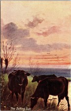 Edwardian Postcard The Setting Sun Cows Pastoral Art Howe, Vertigen & Co. picture
