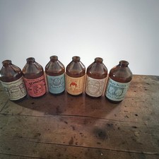 6 Different Vintage Olde Frothingslosh old Beer Bottles (Empty) Collection Look picture
