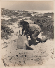 CUBA CUBAN REVOLUTION FIDEL CASTRO FISHING KORDA PORTRAIT 1959 ORIG Photo 219 picture