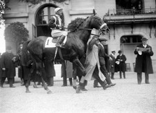 The horse Mansur ridden by Semblat winner Prix Greffulhe is brough- 1935 Photo picture