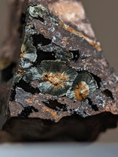 Rare Kidwellite on Novaculite - Coon Creek, Polk County, Arkansas, w/ photo case picture