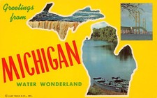 Michigan MI Greetings From Large Letter 4DK-1841 Chrome Postcard picture