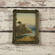 Antique Lone Cypress Monterey California Hand-Tinted Photo 1910 6x8 Rare Art picture