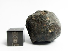 NWA 869 Meteorite 20.86g Awesome Aerolite picture