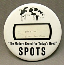 Gloucestershire SPOTS Modern Breed for Today's Needs 4