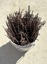 Rusty Barb Wire 18 Inch strands. Sharp old rustic look. Crafting Decor. 10 Count picture