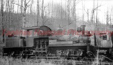 Champion Fibre Co. Shay #9 Fires Creek, NC. 1947  NEW 5X8 PHOTO picture