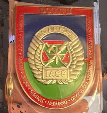 Rare Air Force TACP DCCCVII   “Zombies Never Die” for combat excellence Coin OIF picture