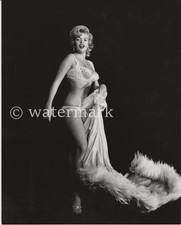 Classic Jayne Mansfield 1950s Pin-Up Actress 8x10 Print picture