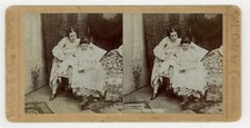 Female Prostitutes 1890 Lesbian Lovers Brothel Sex Worker Stereoview Photo 13982 picture