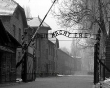 Auschwitz Concentration Camp - Work will set you free - WW2 WWII Re-Print 4x6 picture