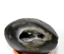 Auspicious Laxmi Narayan shaligram wt-234 gram size -2.75 inch picture