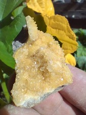 Herkimer 💎  'Rare' Golden Healer Druze Specimen, Self Collected ✨️  In NY  ❤️  picture