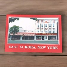 East Aurora New York Postcard Vintage Vidler’s Store Five And Dime picture