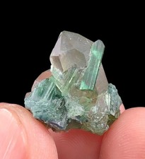 19 Cts Aesthetic Tourmaline Crystals Bunch on Smoky Quartz From Afghanistan picture