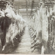 Armour's Packing House Stereoview Strohmeyer & Wyman 1893 Chicago Pork picture
