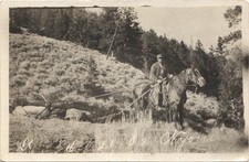 HAULING DEAD ELK wyoming wy 1908 postcard real photo rppc hunting hunter horse picture
