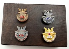 Veterans Administration Service Pin Set VA Award 10K Gold Sterling 15 20 25 30 picture