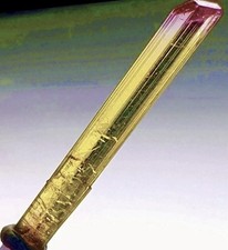 Rarest Red Cap Gold Tourmaline Crystal Perfect Natural Raw Specimen Untreated picture
