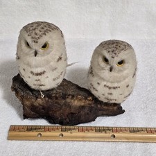 VTG Faux Taxidermy Snowy Owl Figurines Pair Woodland Decor Glass Eyes 1970s picture