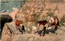 Hal, Auburn, Jona, W. G. Macfarlane, Logross, Dand Postcard picture
