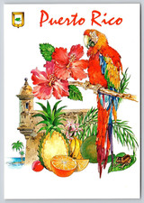 Puerto Rico Map Postcard UNP 6x4 Hibiscus Parrot Pineapple Morro Castle Coqui picture