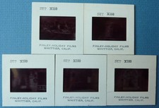 Vintage Mission Inn Riverside CA 35mm Photo Slides Finley-Holiday Films Lot of 5 picture