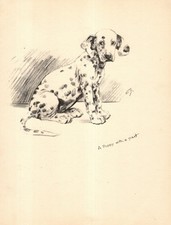 1935 Antique Dalmatian Print K F Barker Vintage Dalmatian Art Illustration 6572Q picture