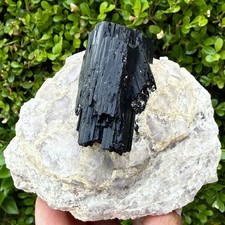 1.85LB Rare black tourmaline and quartzite symbiotic mineral specimen picture