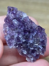 Fluorite from France - Small specimen picture