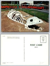 Standard Prehistoric Forest Boneyard Irish Hills Michigan Postcard picture