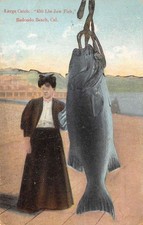 Redondo Beach California, U29577, 450 Lb. Jew Fish & Woman, Color Lithograph, PC picture
