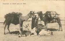 Suez Egypt Desert Camels Bedouins RPPC Postcard Cairo Postcard Trust c1910s picture