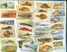 1935 JOHN PLAYER & SONS SEA FISHES 50 DIFFERENT TOBACCO CARD SET picture