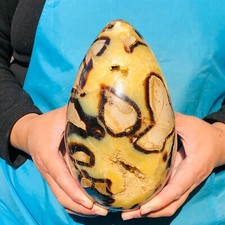 6.6LB  Top Natural Dragon Septarian Crystal Geode Quartz Egg Mineral Specimen picture