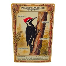 Pileated Woodpecker Metal Sign 12in × 8in Metal Plaque With Information & Facts picture